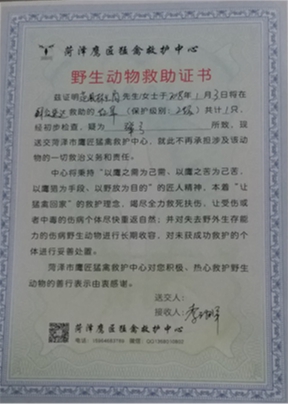 ��������365365����Ͷע�䷢֤��